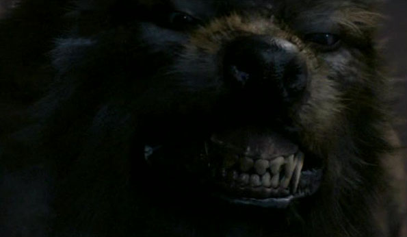 Tooth and Claw Werewolf